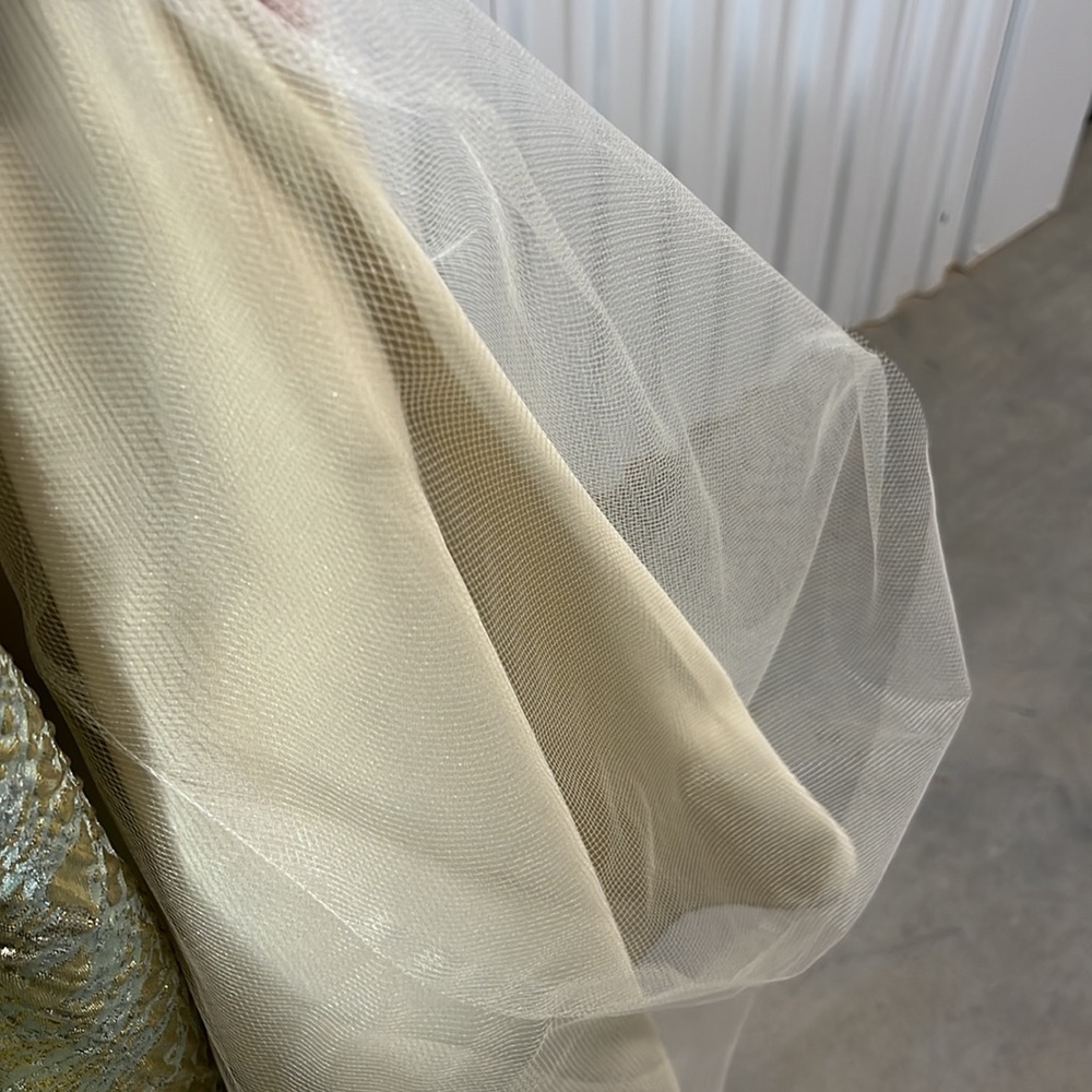 Platinum by Shelli Segal Formal Gown. Preowned - Picture 9 of 10